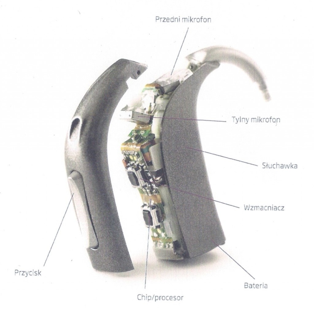 Budowa aparatu słuchowego